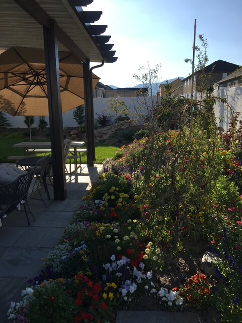 house side garden